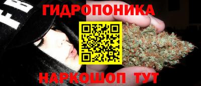 мяу мяу мука Тулун