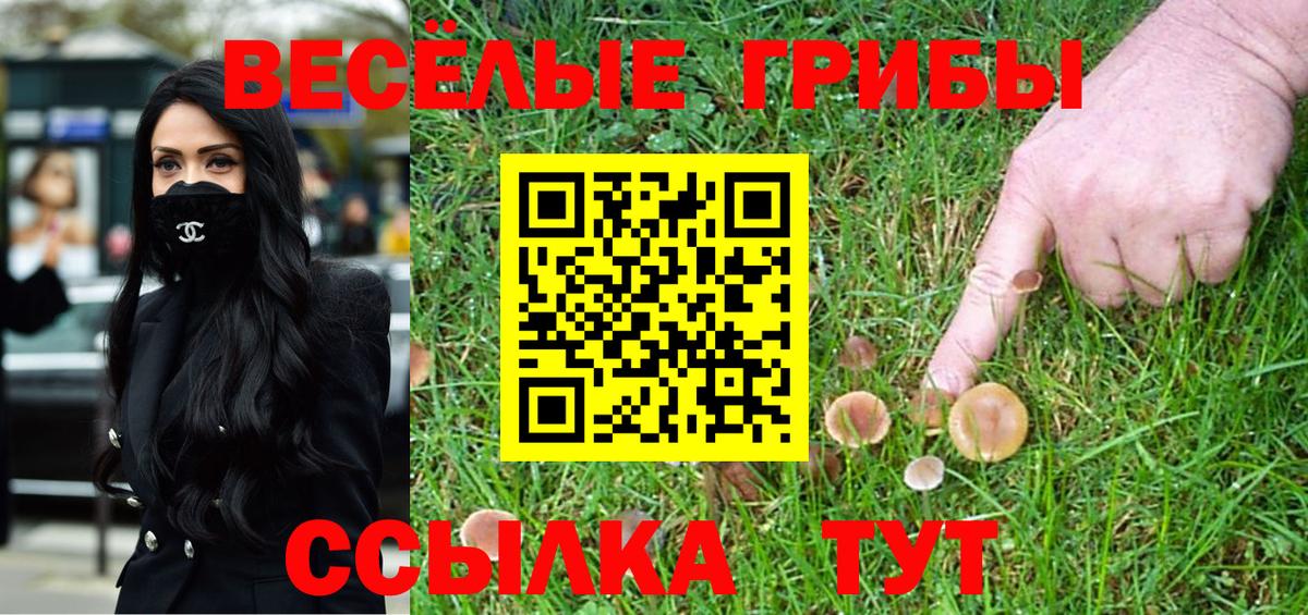 Нововоронеж  Псилоцибиновые грибы Psilocybe  Вход с VPN 